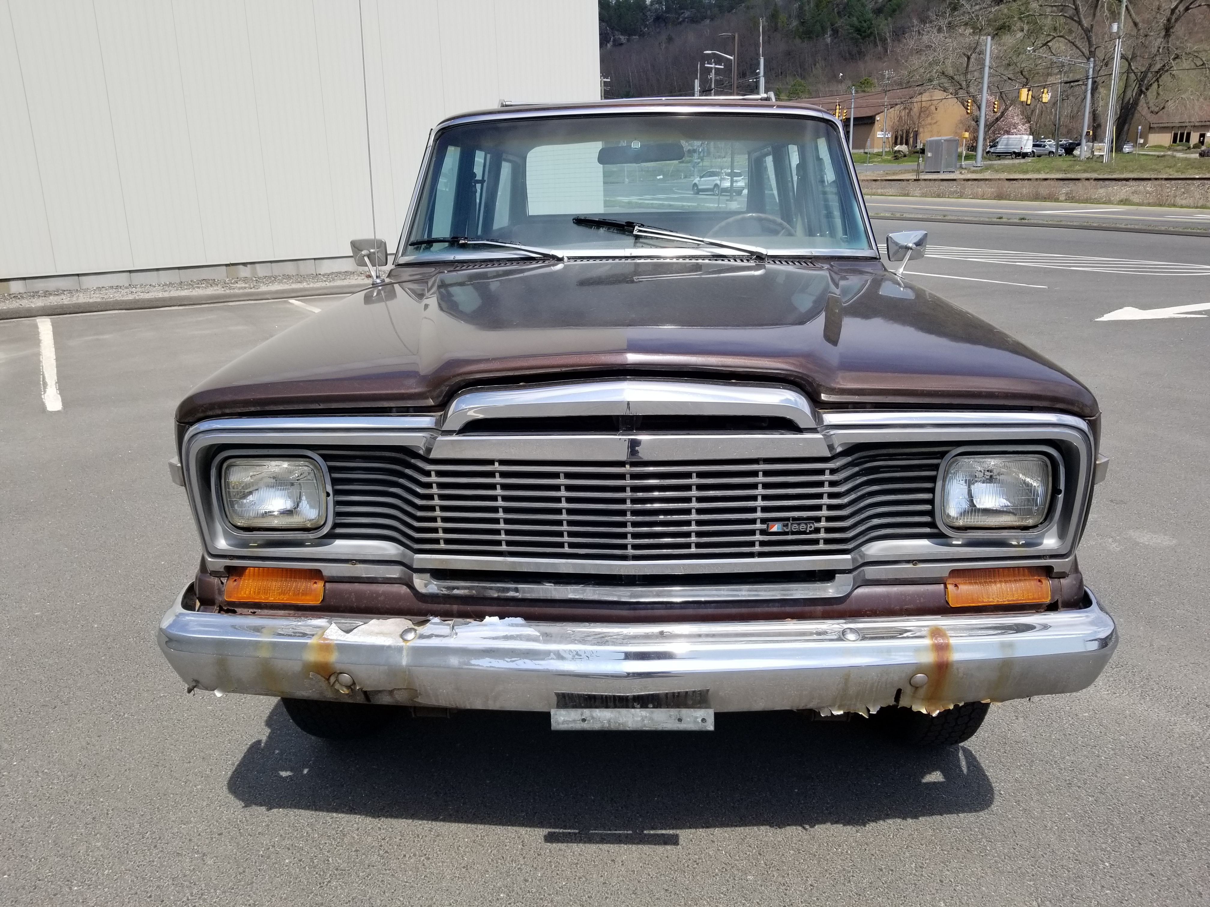 1979 Jeep Wagoneer